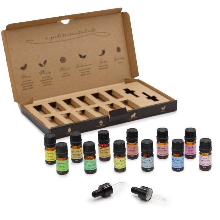 Essential Oil Set - Starter Pack, met 12 verschillende essentiële oliën (5 ml per flesje) en 2 druppelaars. Ideaal voor beginners in geurbeleving.